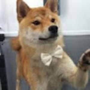 Meet your Posher, Carlos